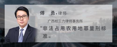 非法占用农用地罪量刑标准