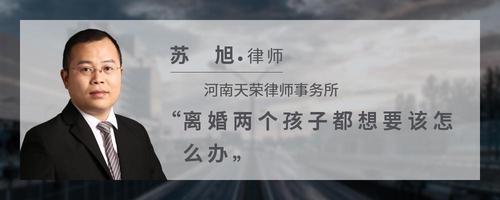 离婚两个孩子都想要该怎么办