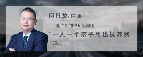 一人一个孩子用出抚养费吗