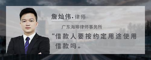 借款人要按约定用途使用借款吗