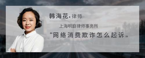 网络消费欺诈怎么起诉
