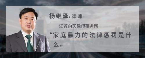 家庭暴力的法律惩罚是什么
