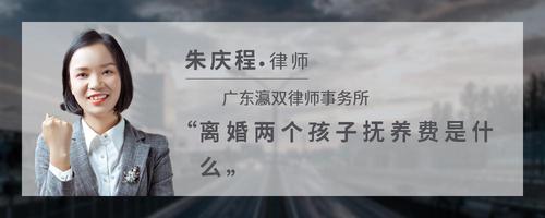 离婚两个孩子抚养费是什么