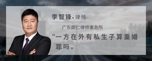 一方在外有私生子算重婚罪吗