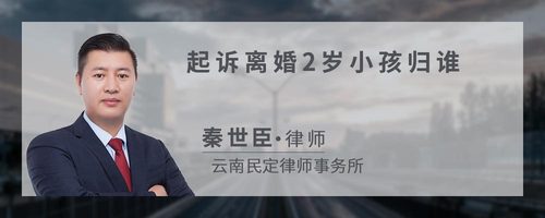 起诉离婚2岁小孩归谁