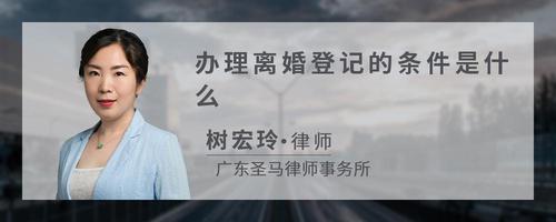 办理离婚登记的条件是什么
