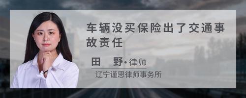 车辆没买保险出了交通事故责任