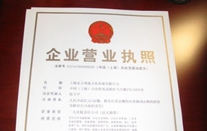 公司取名查询