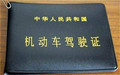 c1驾驶证年审要多少钱