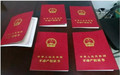 不动产登记在什么情况下不收费