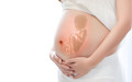 放弃子女抚养权需给补偿吗