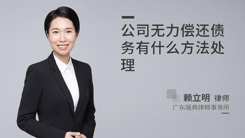 公司无力偿还债务有什么方法处理