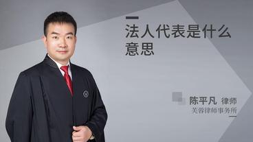 法人代表是什么意思