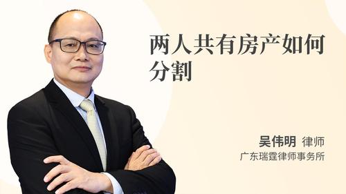 两人共有房产如何分割