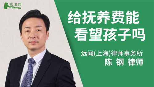 给抚养费能看望孩子吗