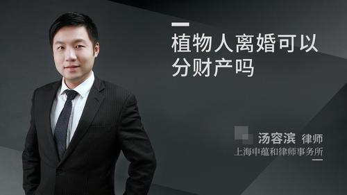 植物人离婚可以分财产吗