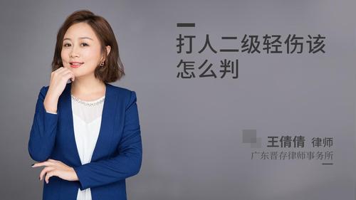 打人二级轻伤该怎么判