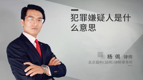 犯罪嫌疑人是什么意思