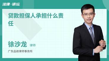 贷款担保人承担什么责任