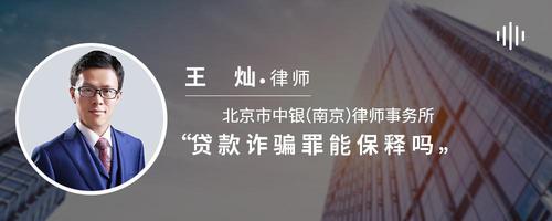 贷款诈骗罪能保释吗
