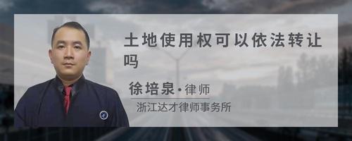 土地使用权可以依法转让吗