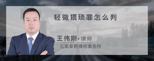 轻微猥琐罪怎么判