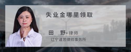 失业金哪里领取