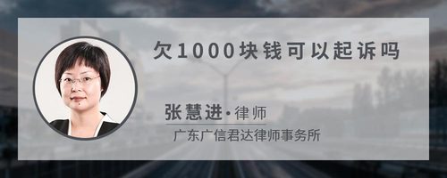 欠1000块钱可以起诉吗
