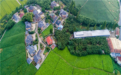 关于集体土地作为建设用地的法律适用的法律规定