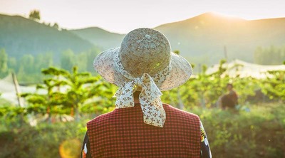 农村承包经营户享有哪些权利