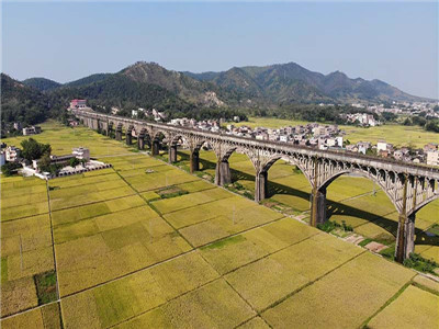集体土地所有权可以转让吗