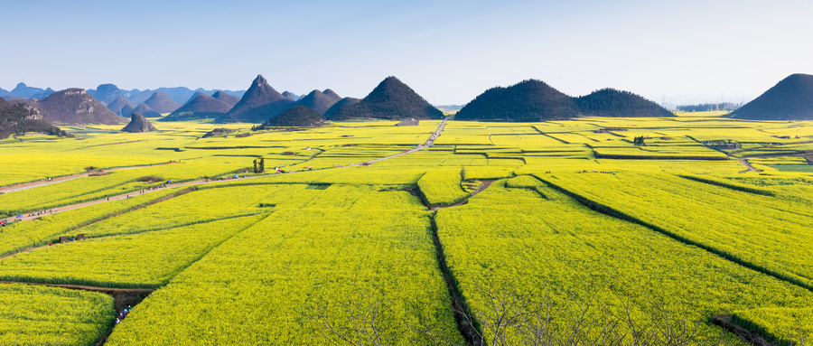 个人草原承包合同范本：简洁实用的协议模板，保障双方权益，明确责任义务，促进合作共赢。