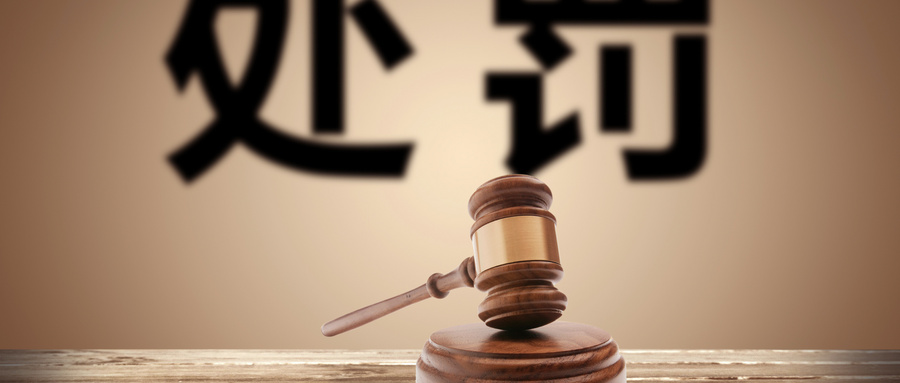 个人交通事故复议申请书专业范例