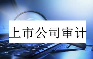 上市公司审计