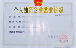 個人獨資企業