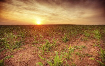 农民承包土地使用权可以转让吗