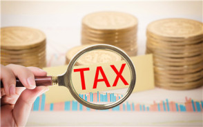 怎样在网上查企业的国税税率?