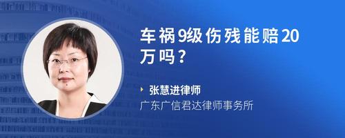 车祸9级伤残能赔20万吗?