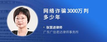 网络诈骗3000万判多少年
