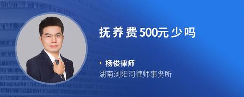 抚养费500元少吗