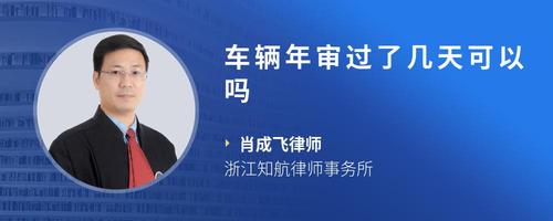 车辆年审过了几天可以吗