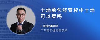土地承包经营权中土地可以卖吗
