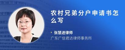 农村兄弟分户申请书怎么写
