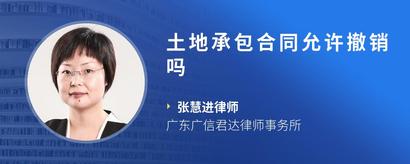 土地承包合同允许撤销吗