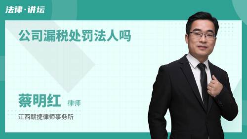 公司漏税处罚法人吗