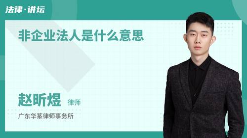 非企业法人是什么意思