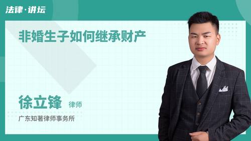 非婚生子如何继承财产