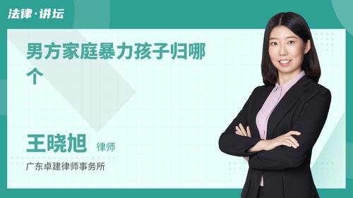 男方家庭暴力孩子归哪个