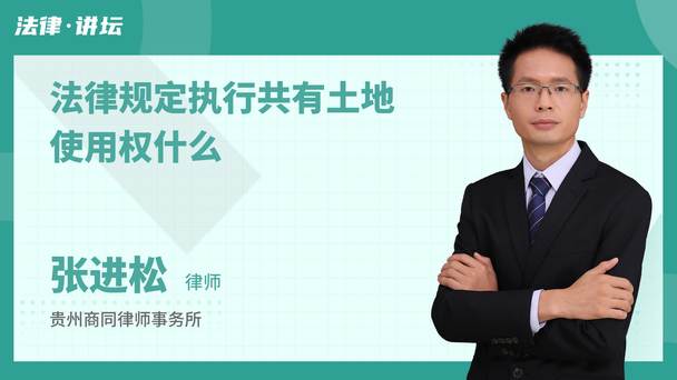 法律规定执行共有土地使用权什么