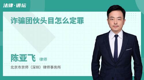 诈骗团伙头目怎么定罪